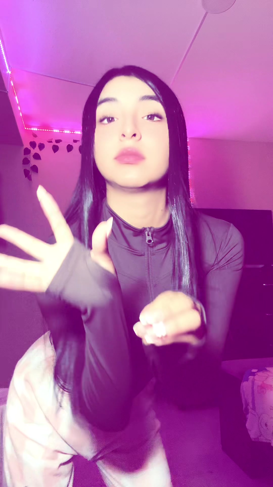 @daeslycat