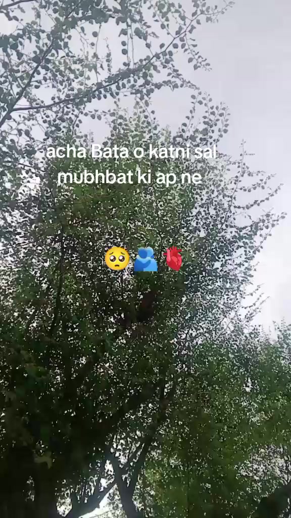 @sara 💯🥰😘