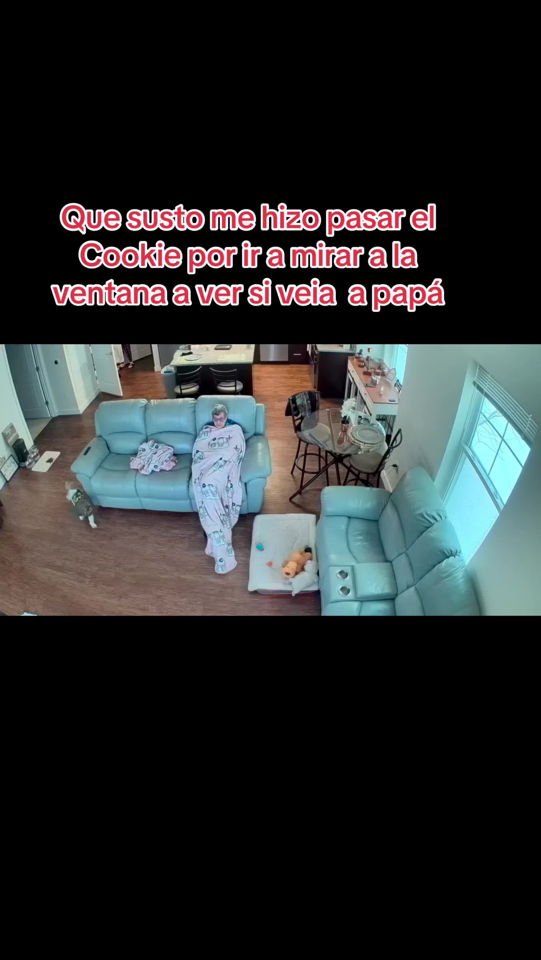 @Oreo & Cookie