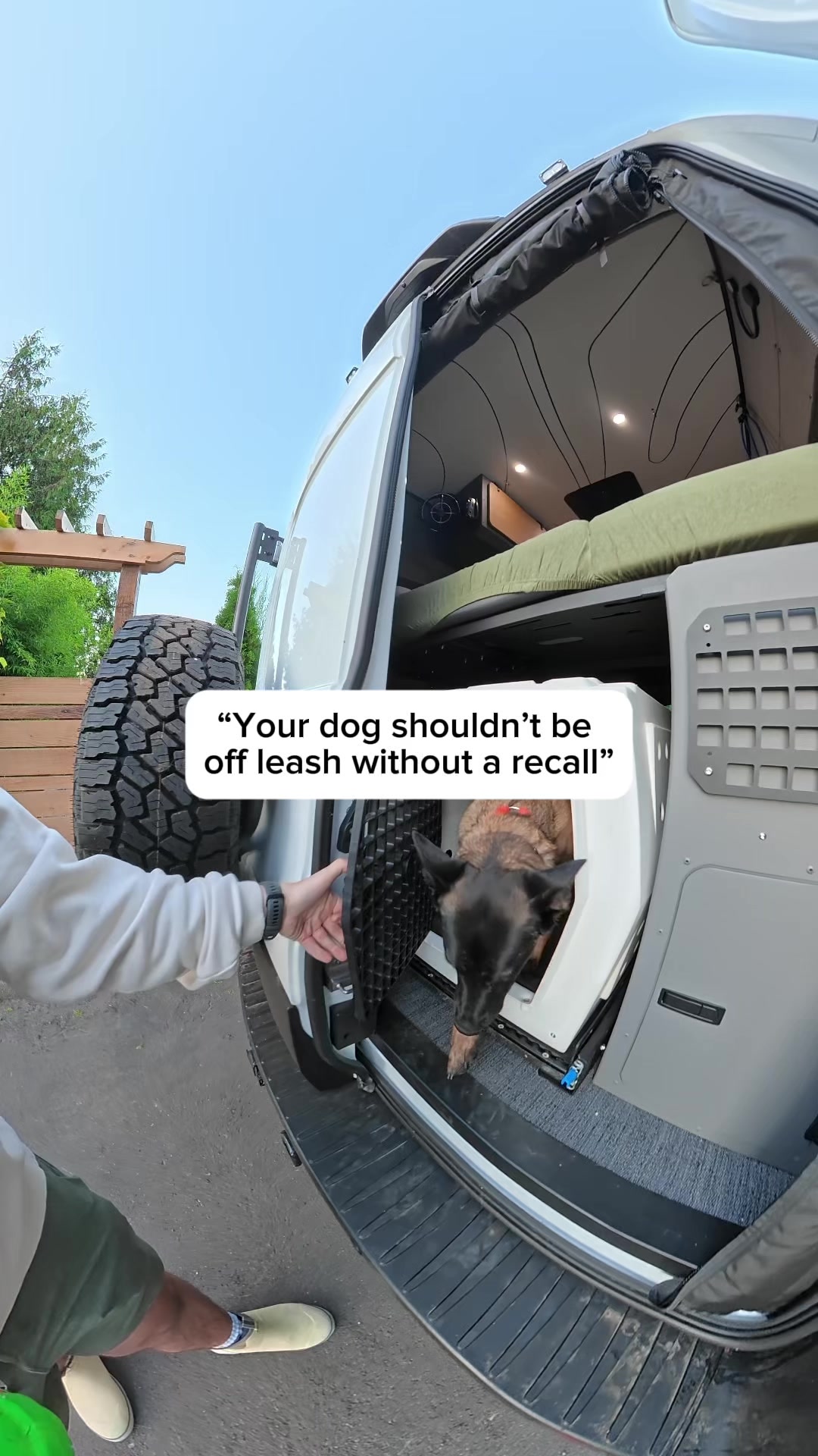 @forthedogs