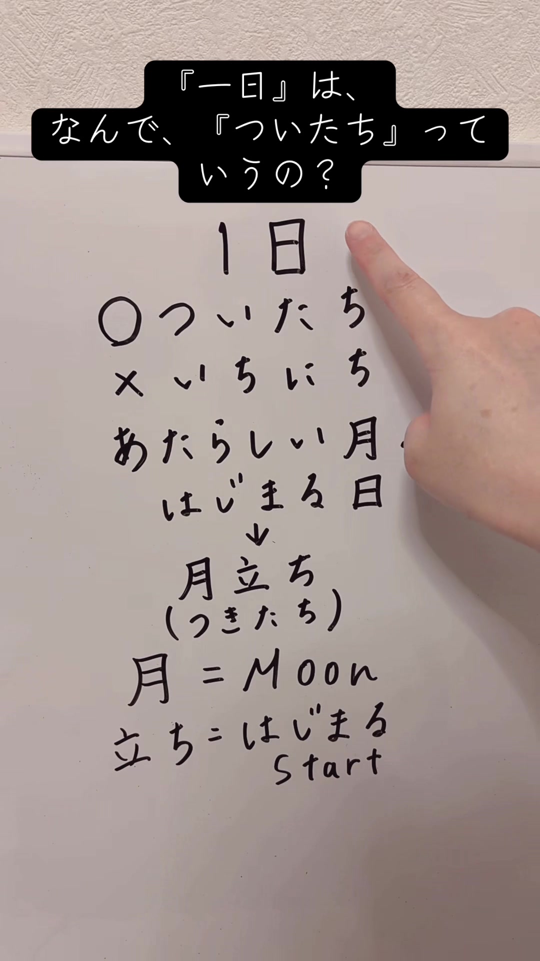 @ひものちゃん