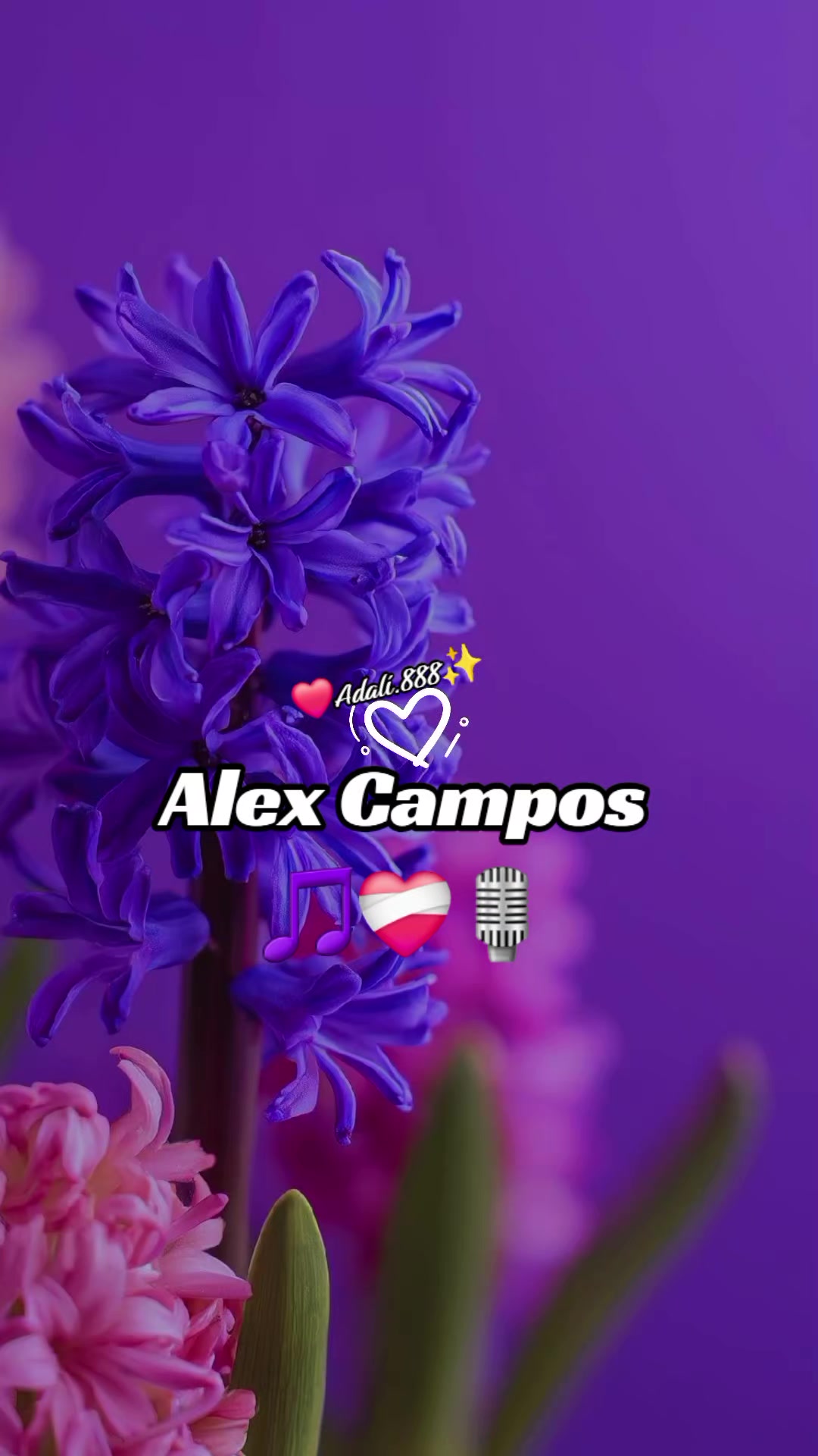 @@Adalí888