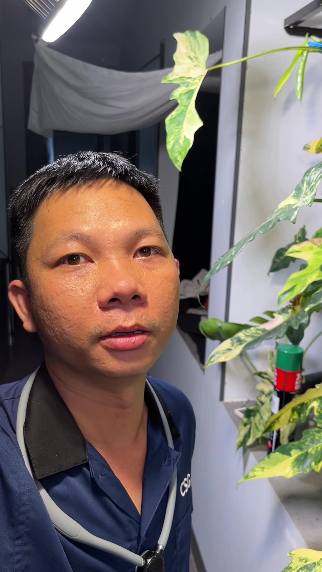 @Huy Kiểng L&aacute;