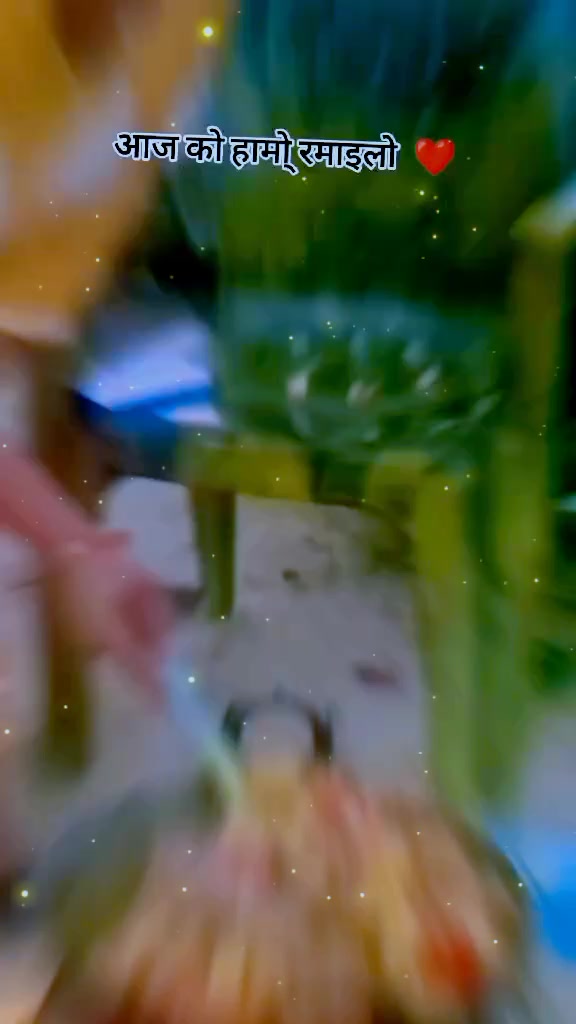 @dinishadangi