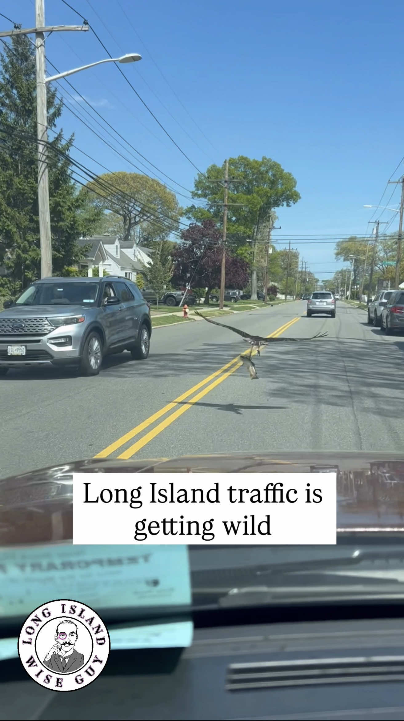 @longislandwiseguy