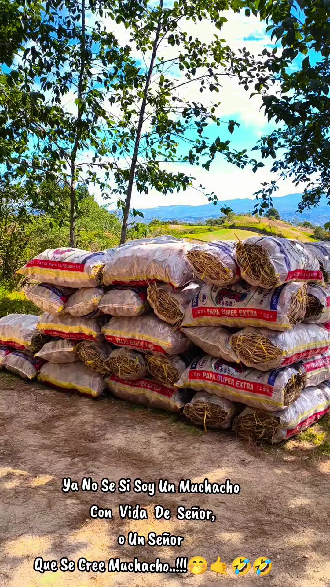 @Parrandero🛣️🚛 🧡🙏💪