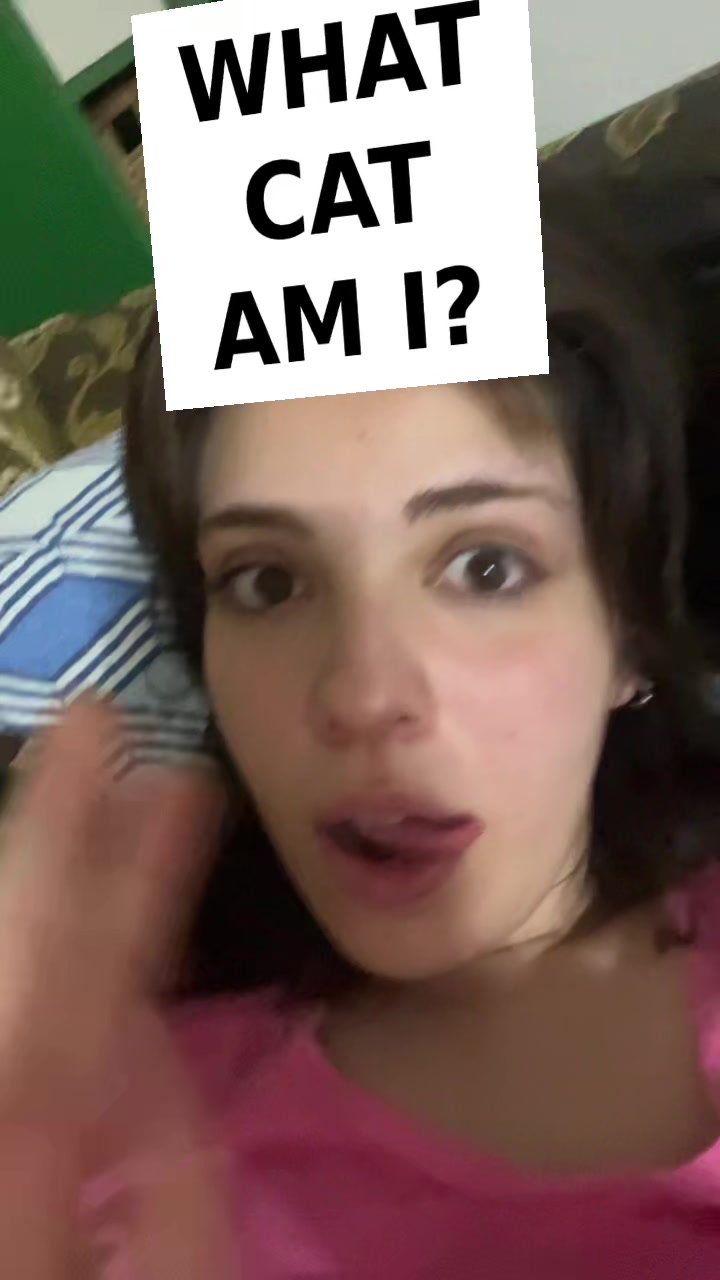 @Zülozüloyaylalar