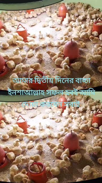 @জামালপুরের ছেলে