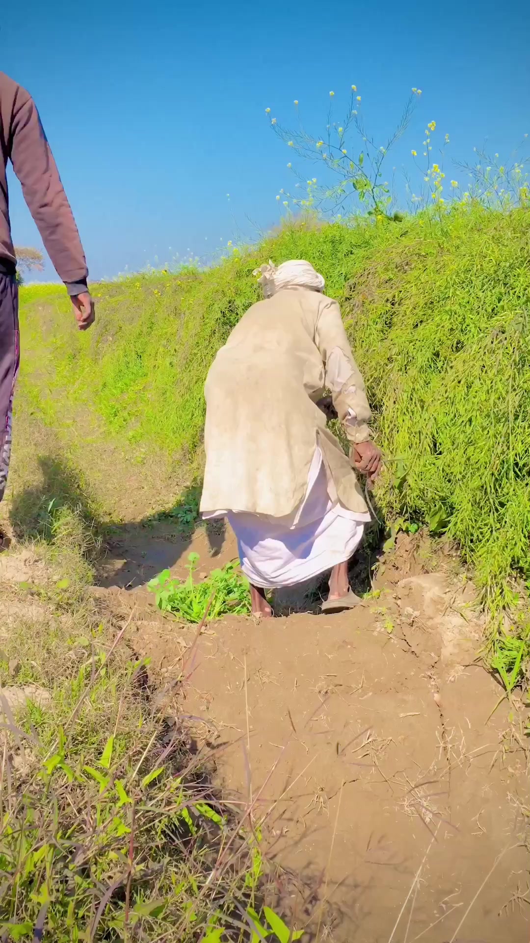 @🌿ینگ فارمر🐄