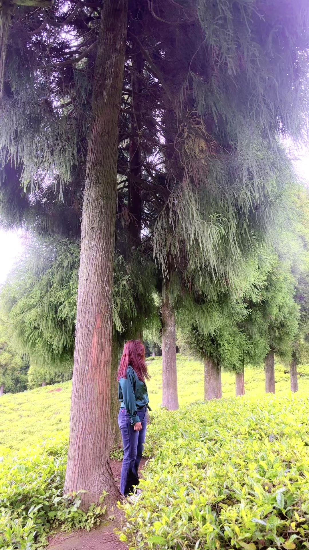 @Rai Radha