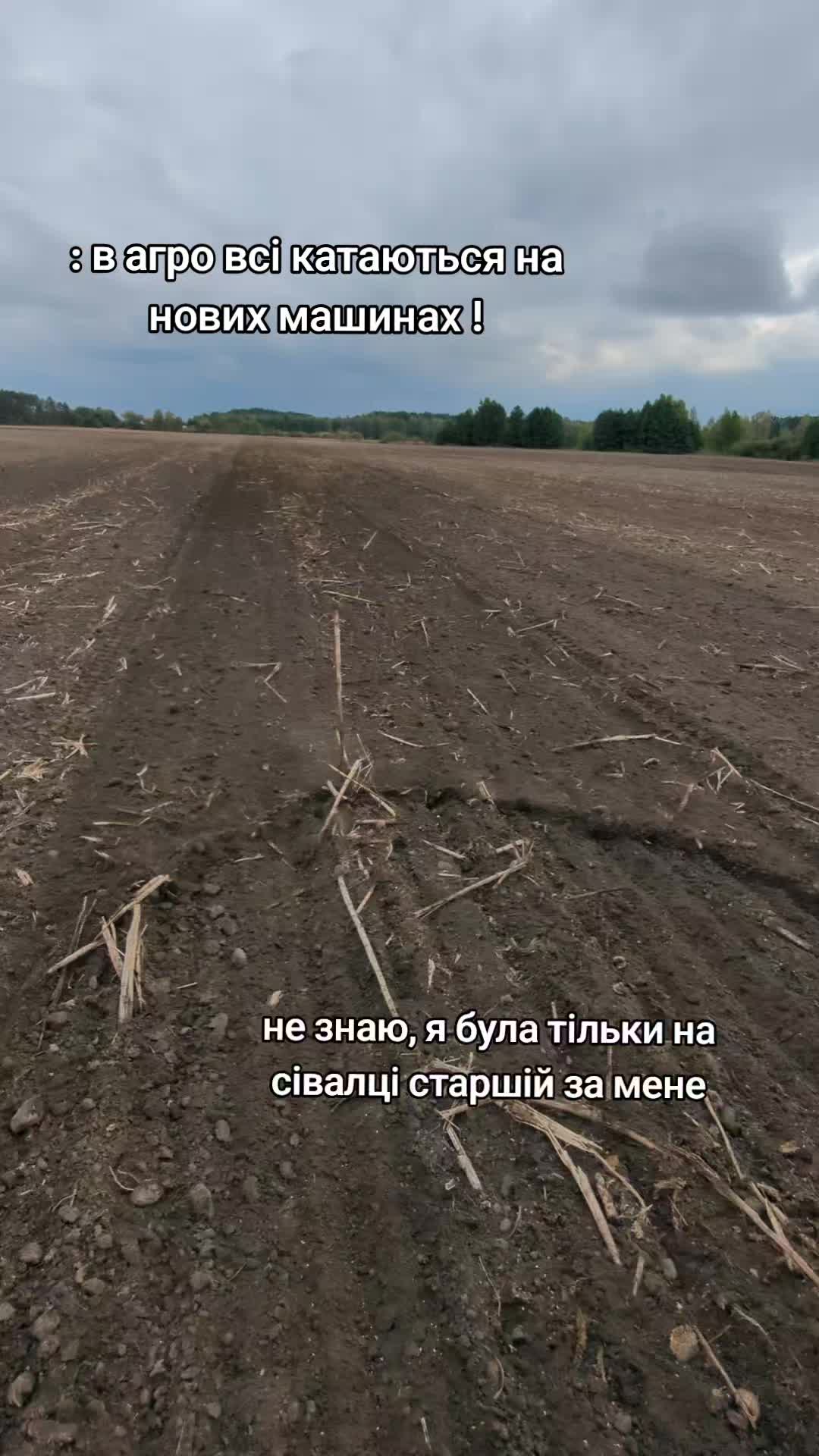 @Lina