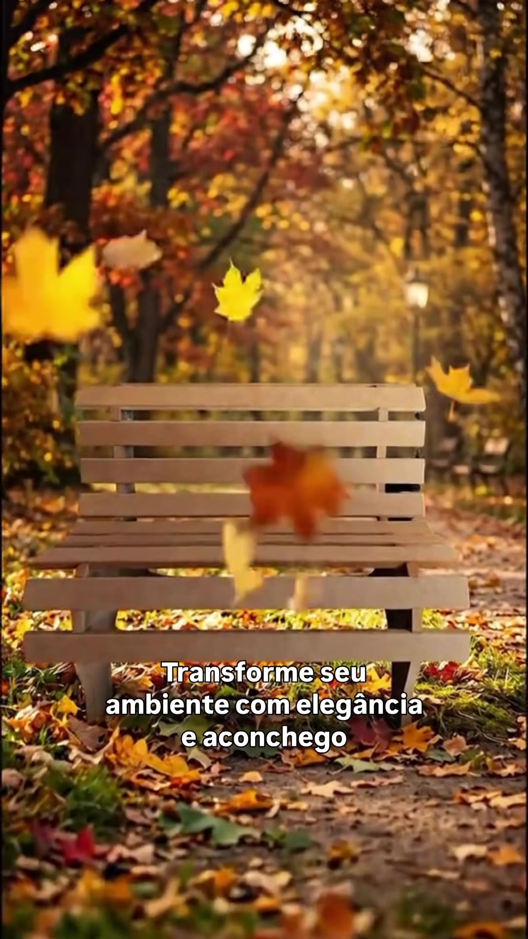 @Lumi indica