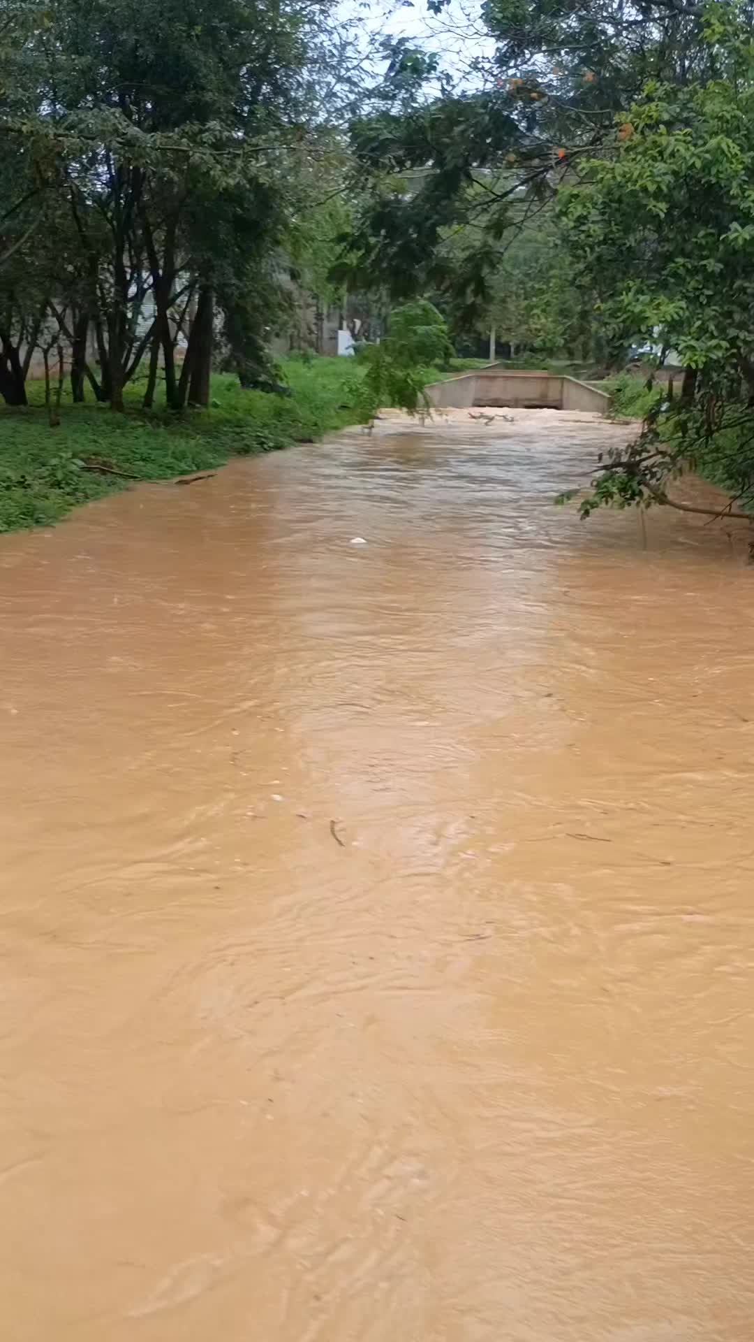 @Paulo Gonçalves