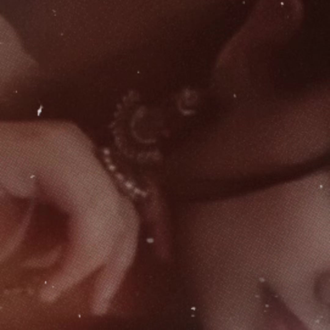 @ᦔꪗꪖ♡