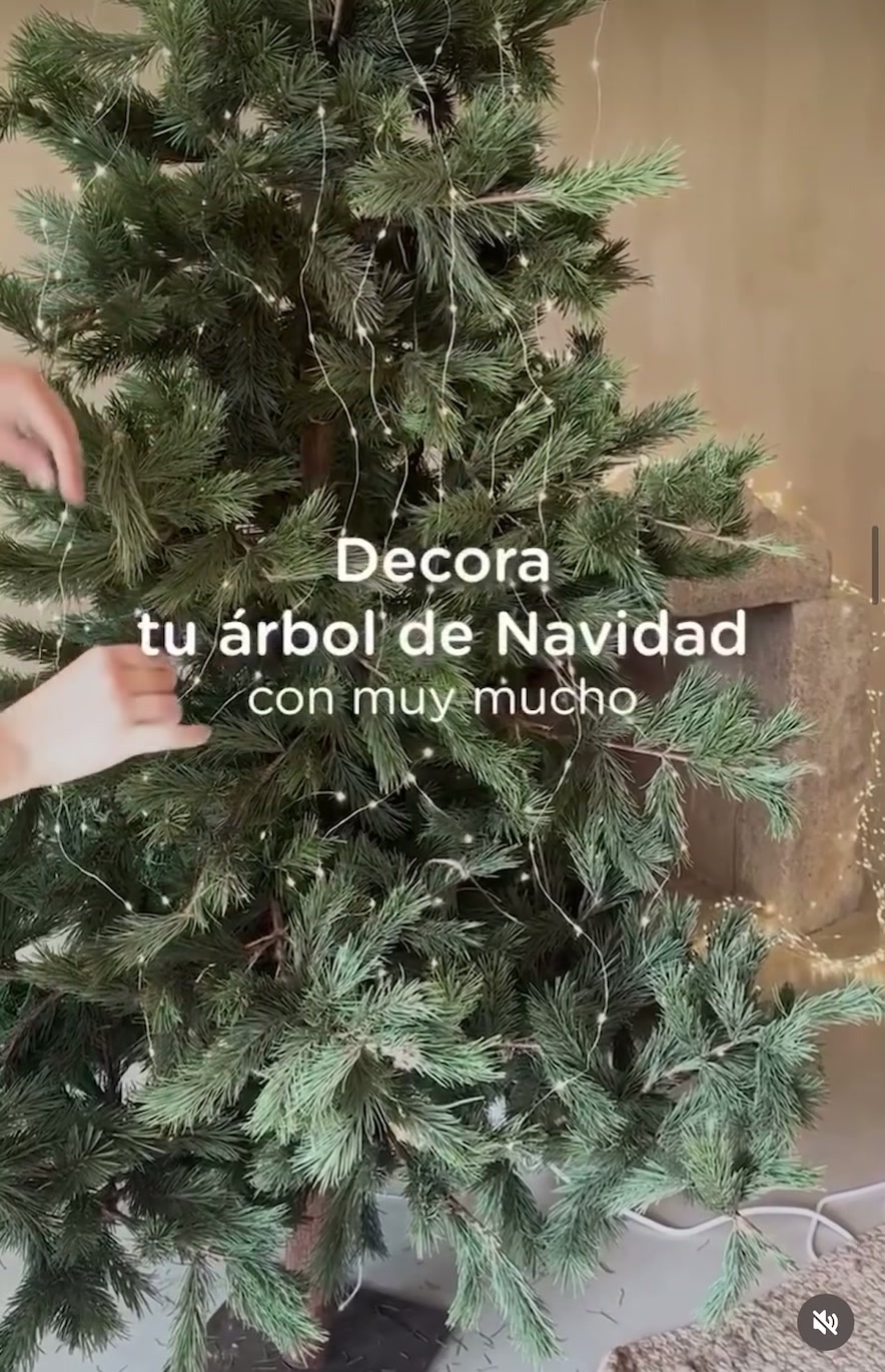 @muymuchogt