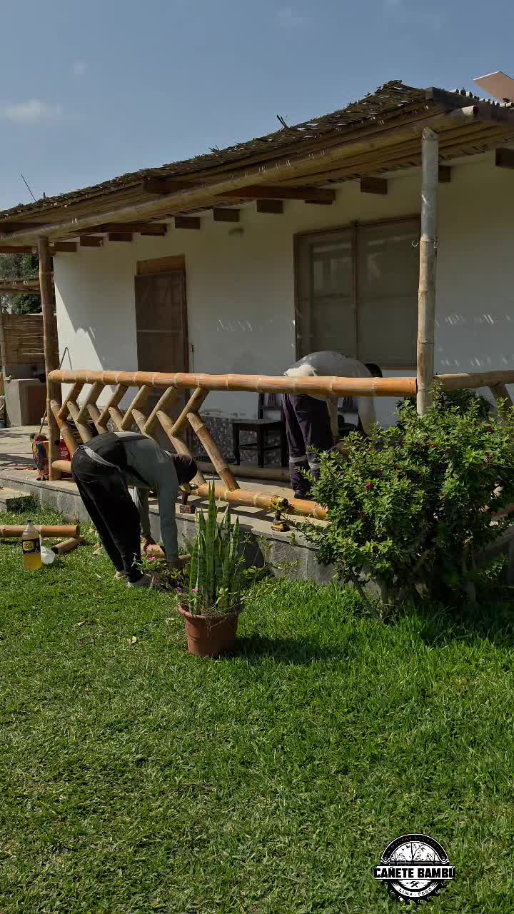 @Cañete Bambú 🎋