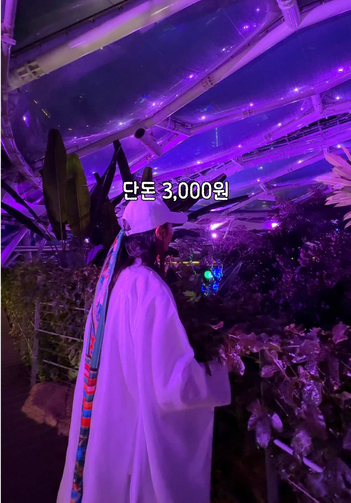 @traveler_jin