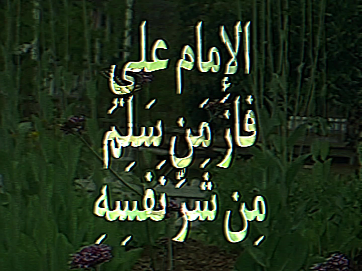@اني باقر