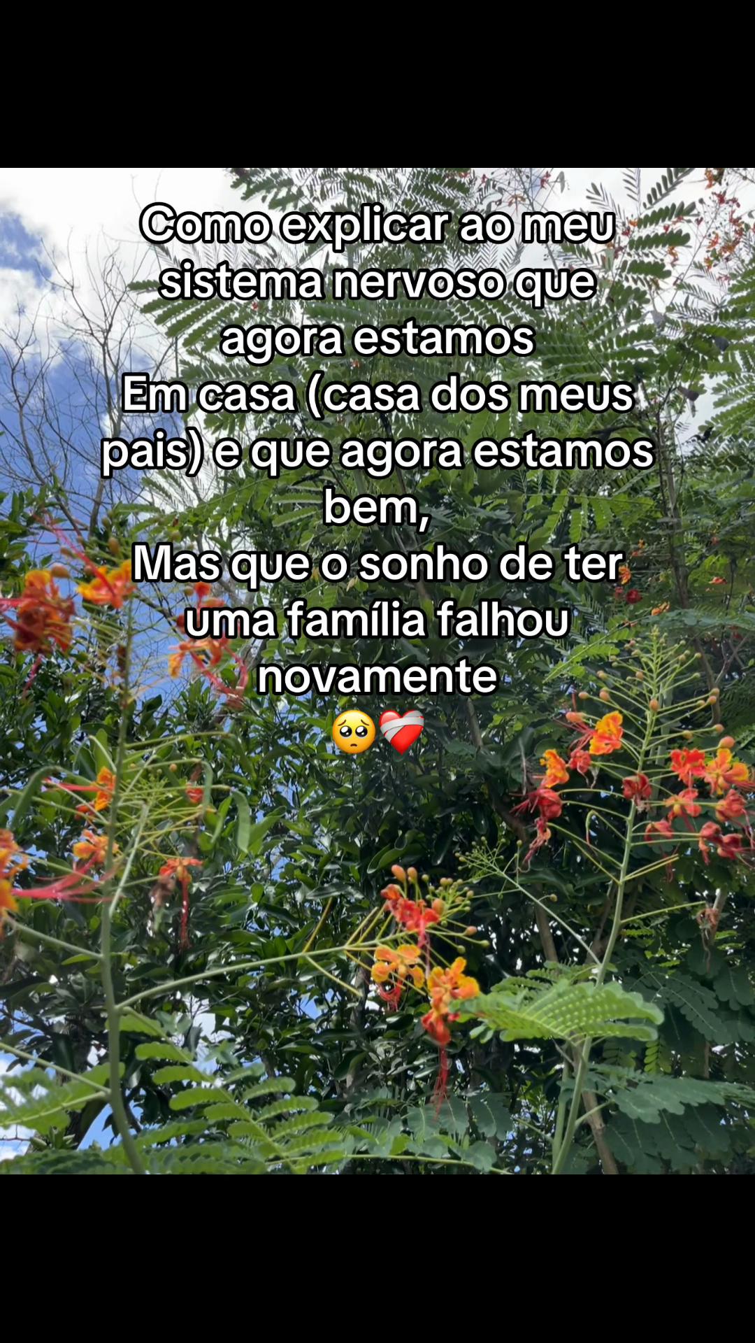 @day🩷