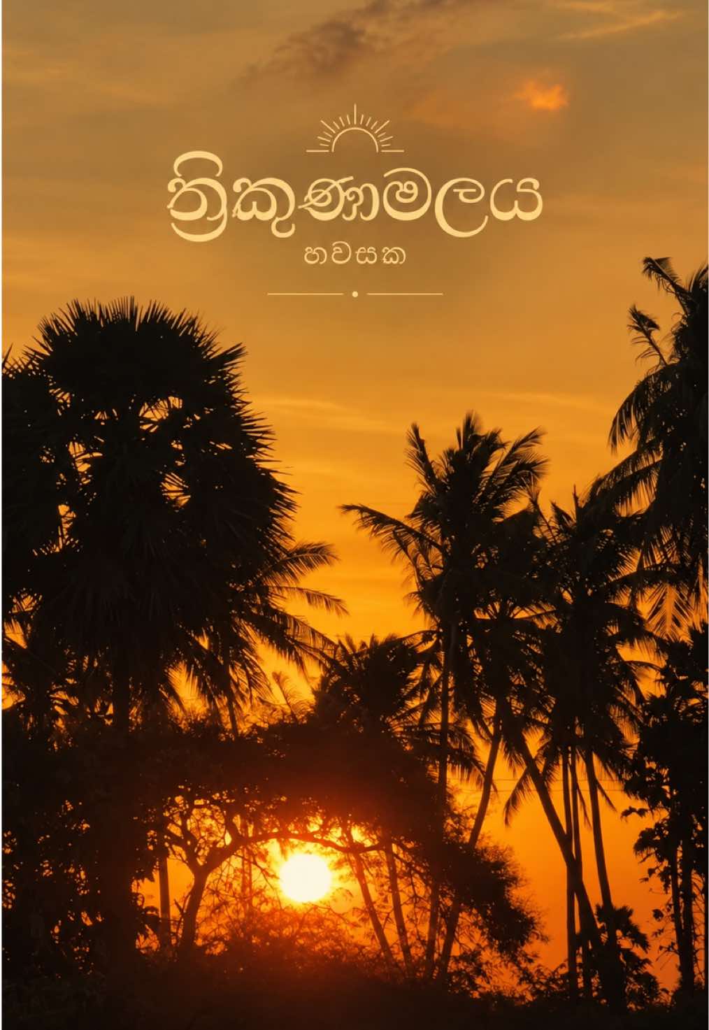 @pavani_kothalawala