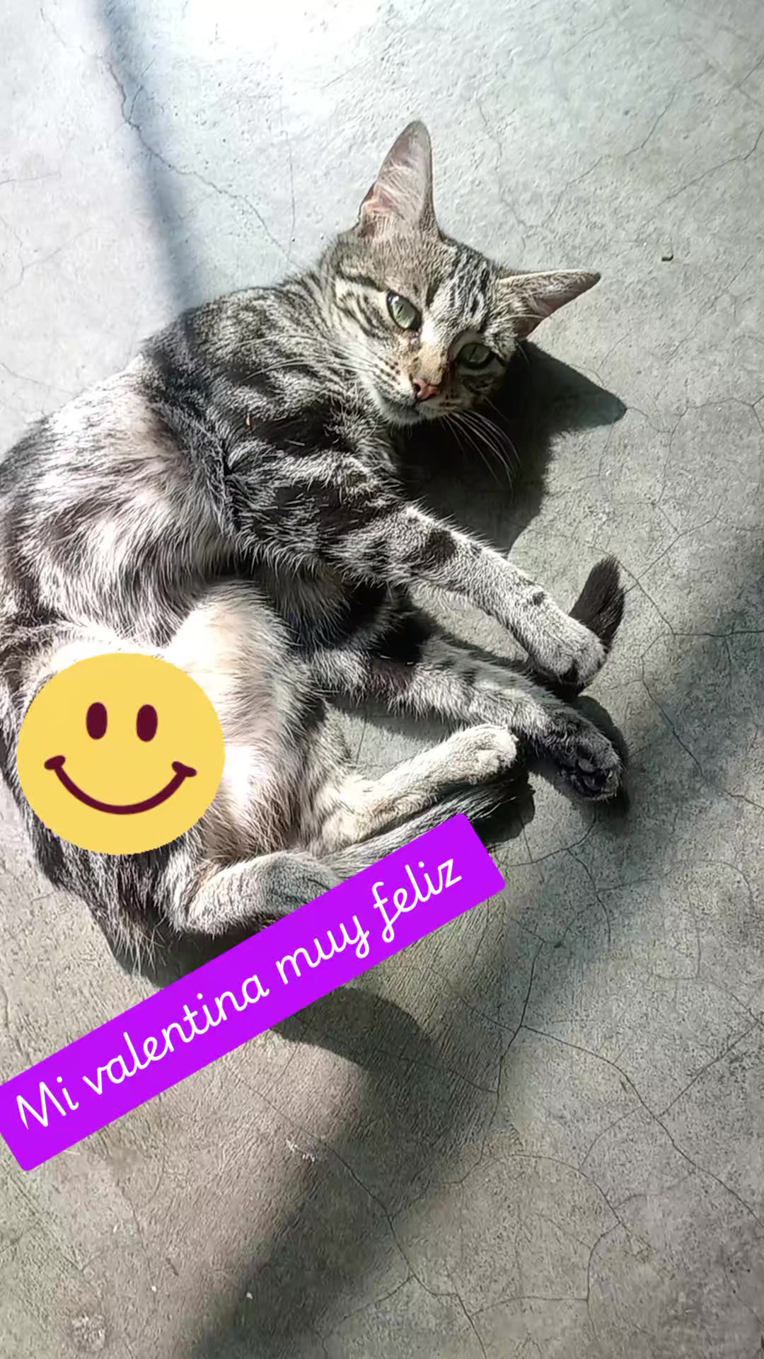 @bertha๐๐๐ค