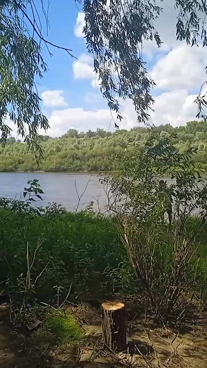 @Роман