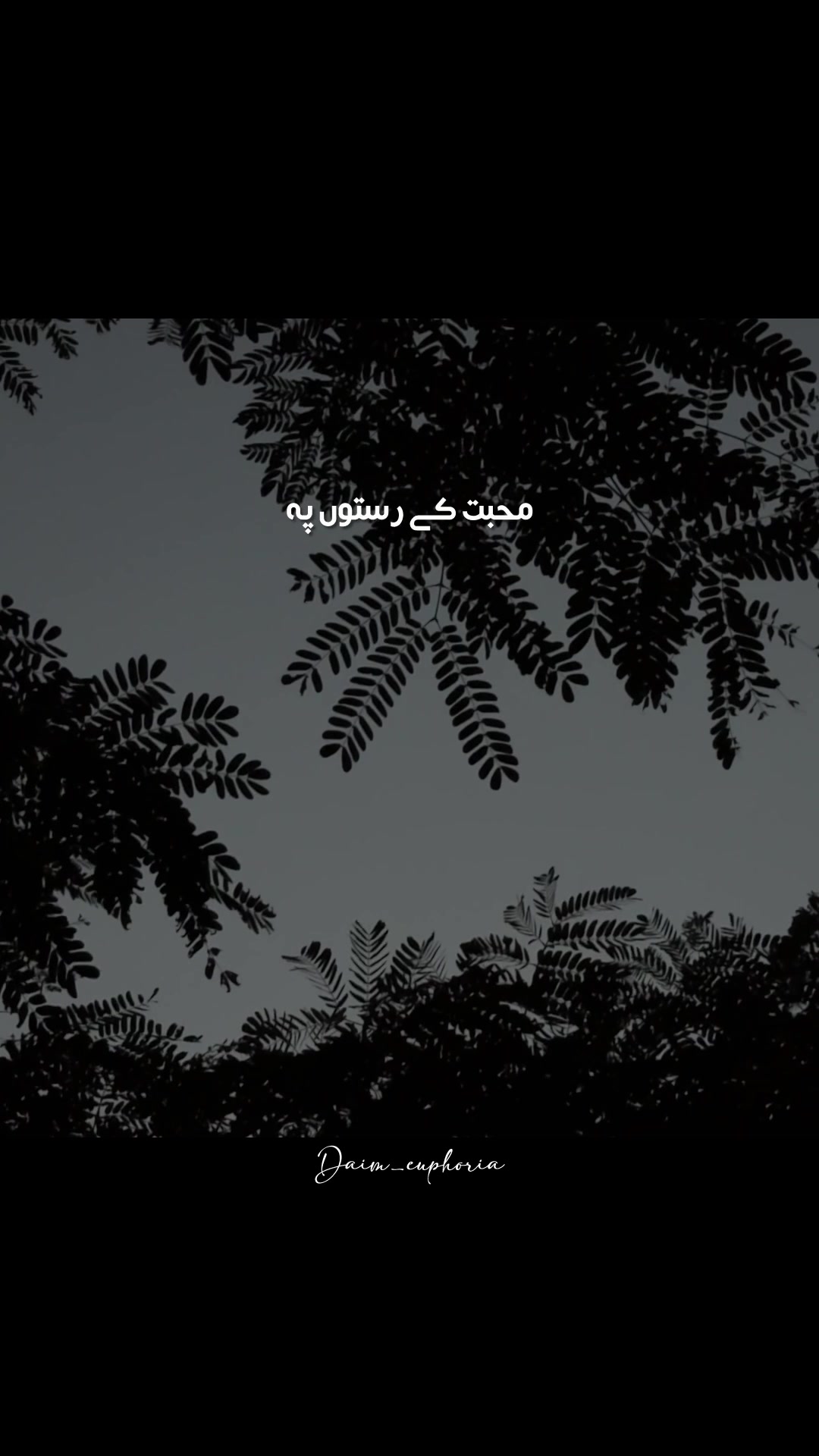 @daim_euphoria