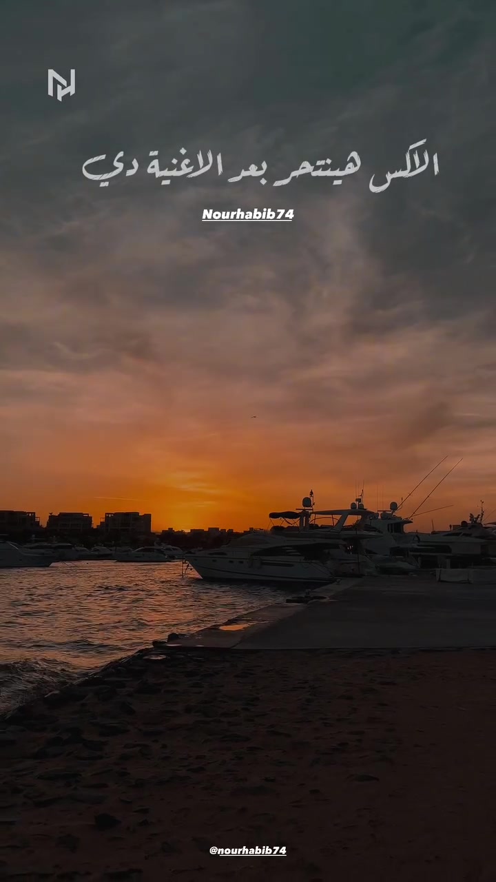 @NourHabib74