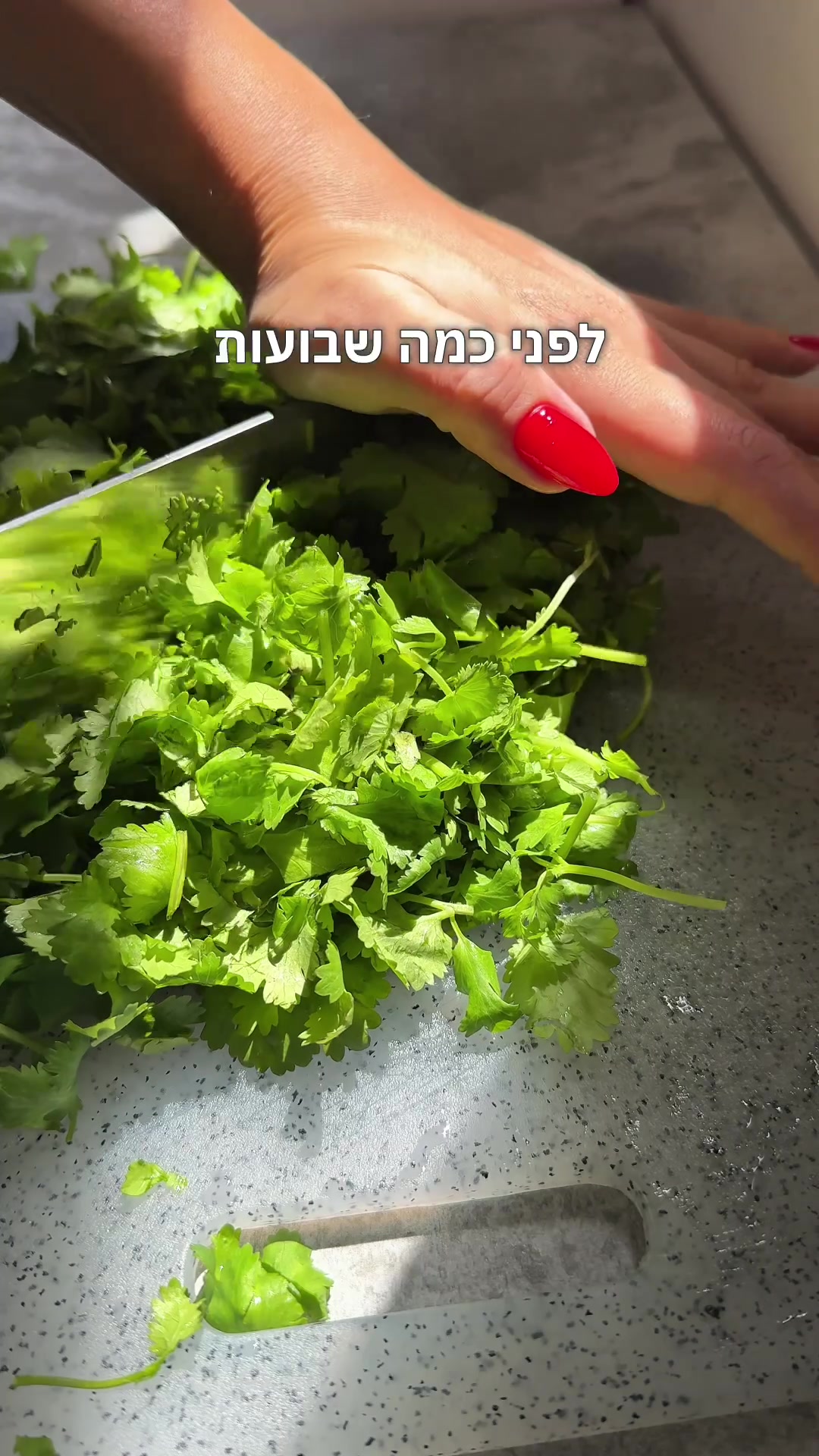 @shahafbenbasat | שחף בן בסט