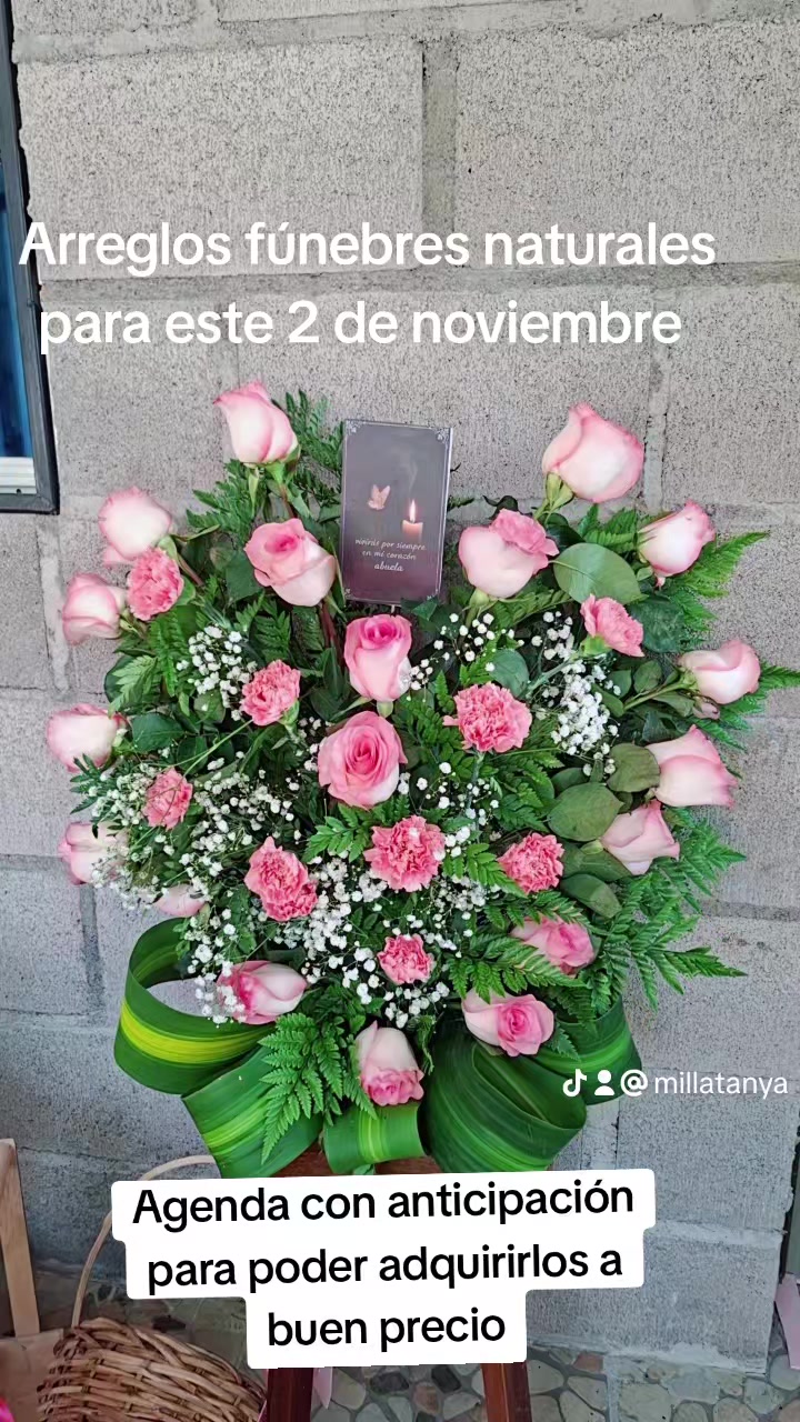 @Tanya Milla