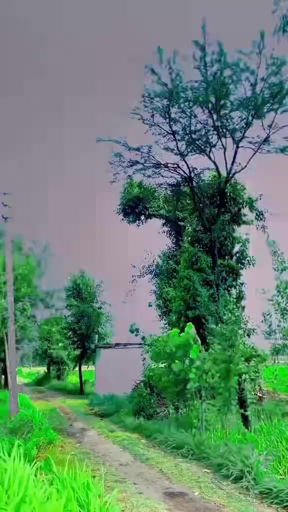 @DEVIL 😈 Malik ak 47🤟✌️💪🤟✌️