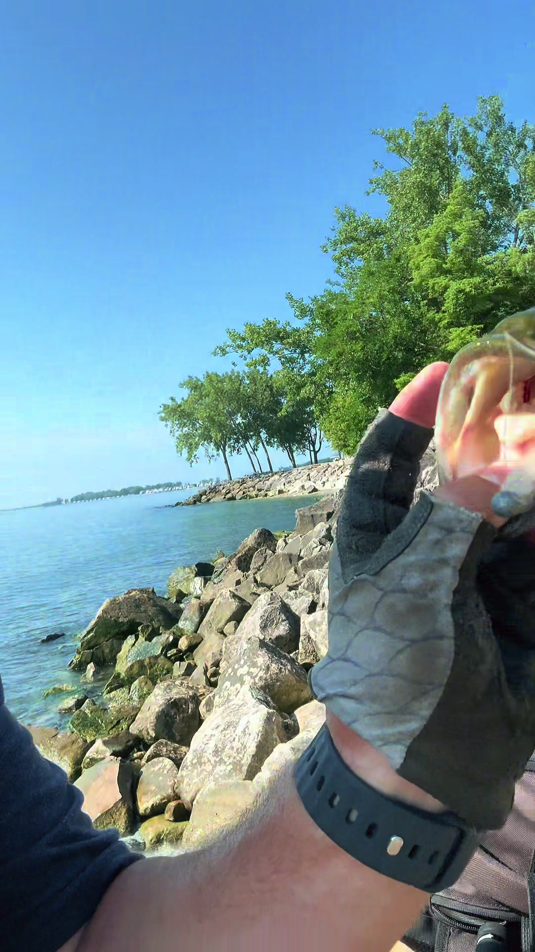 @Get Ugly Fishing™