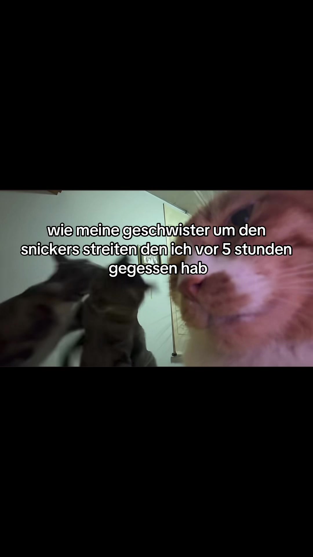 @yedewt