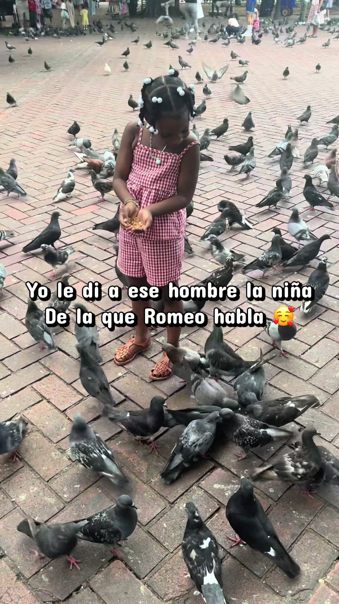 @Lore ᥫ᭡