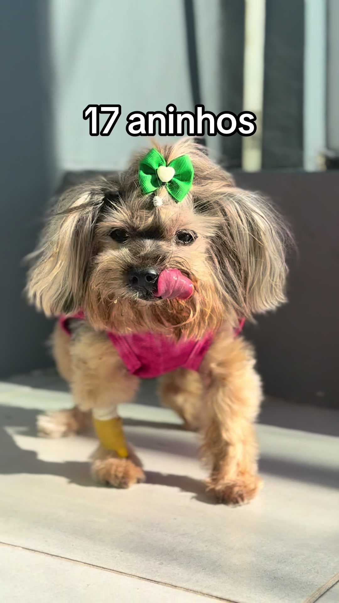 @Francinny Veterinária®️