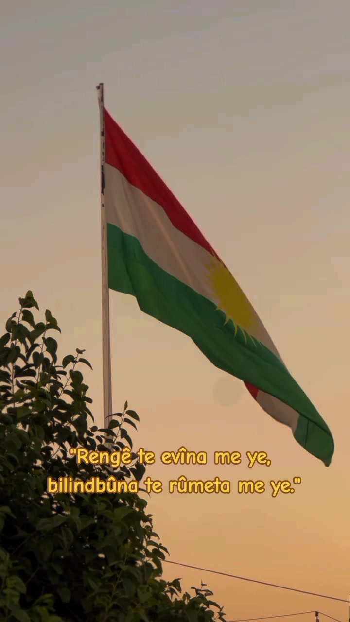 @αzαт αунαи