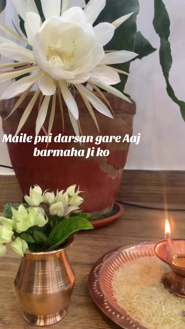 @Anju Magar