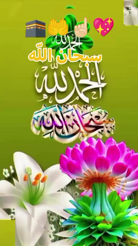 @Hassan Hussain💞