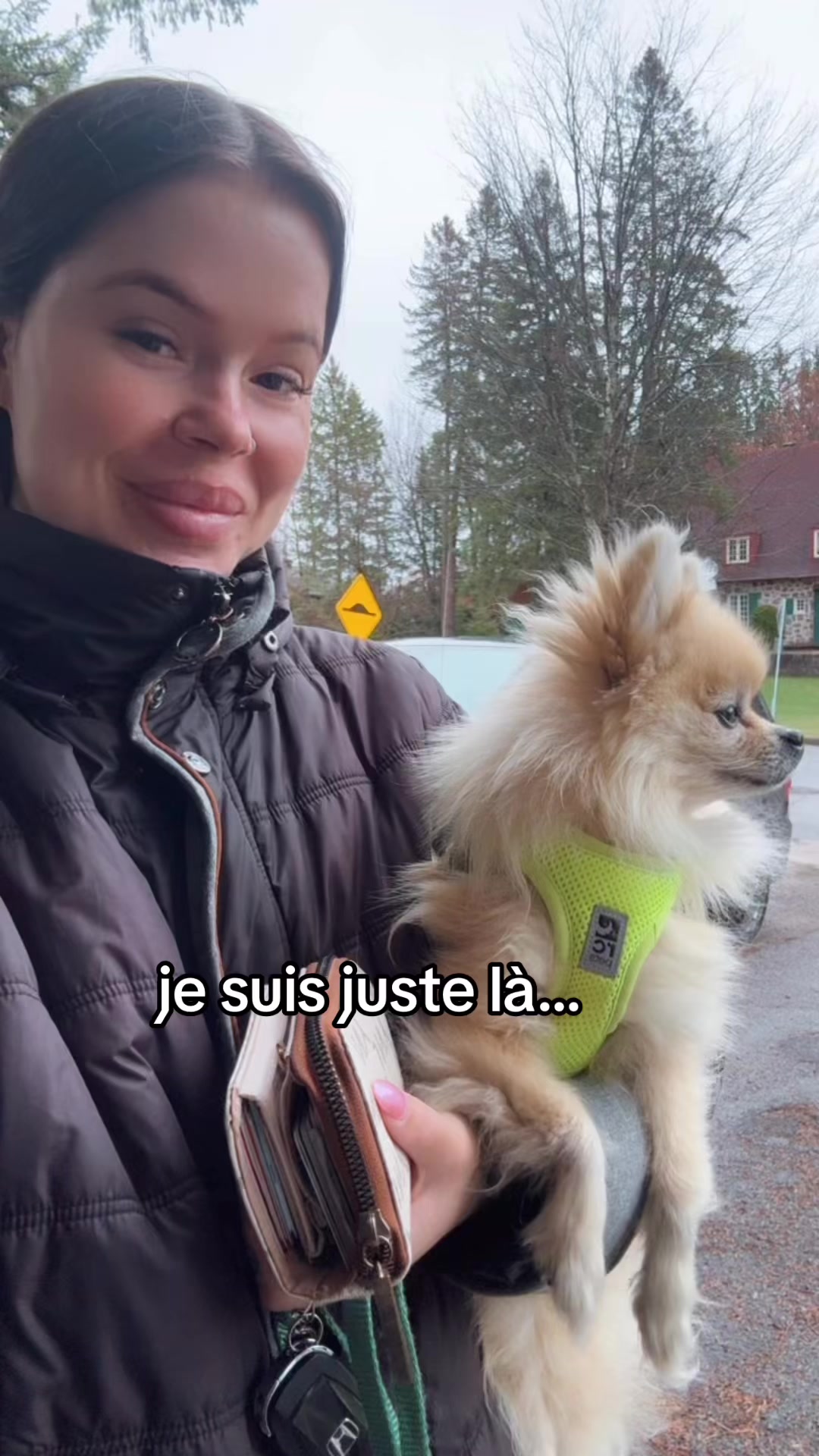 @elsamenard