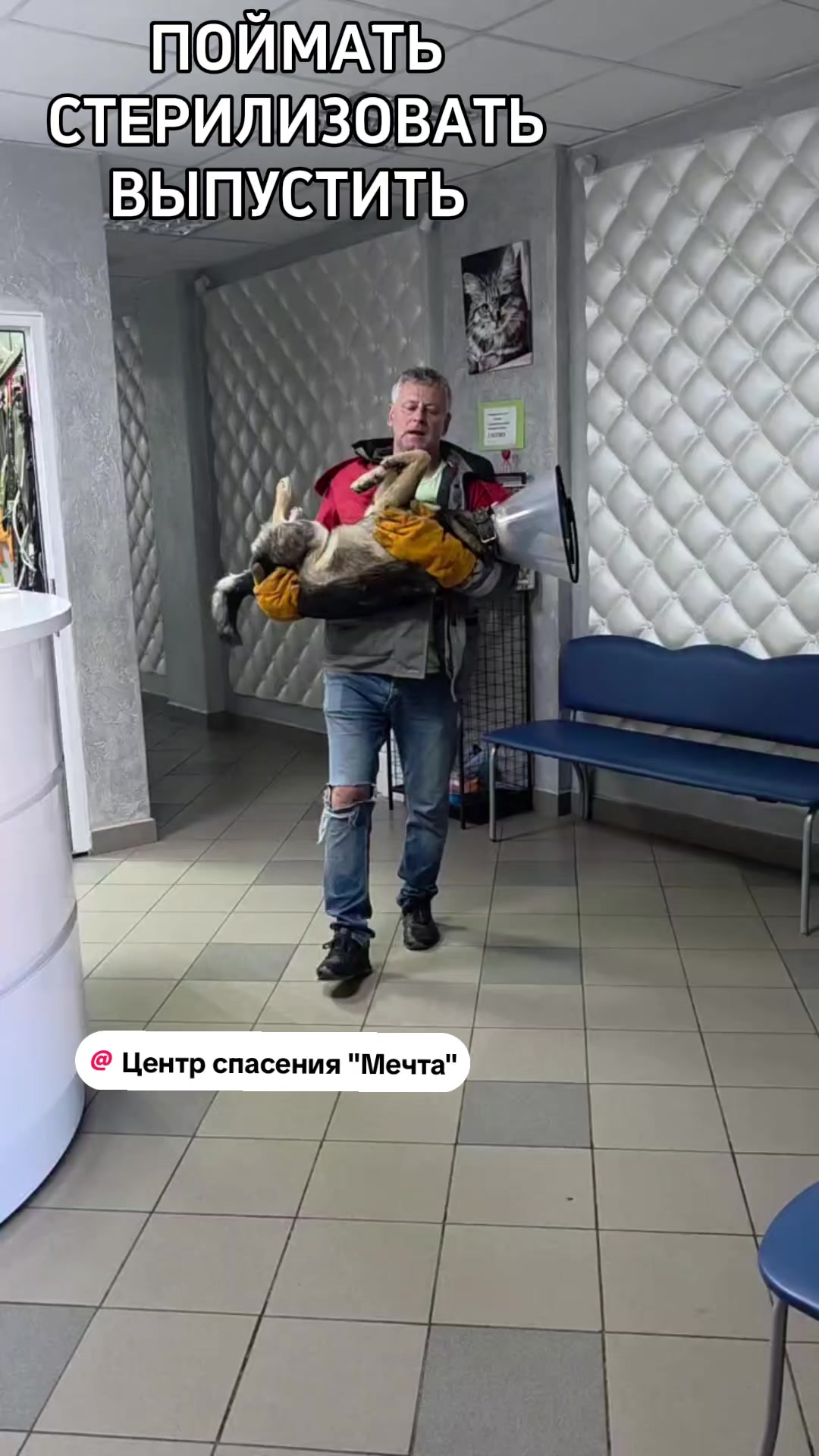 @Слава