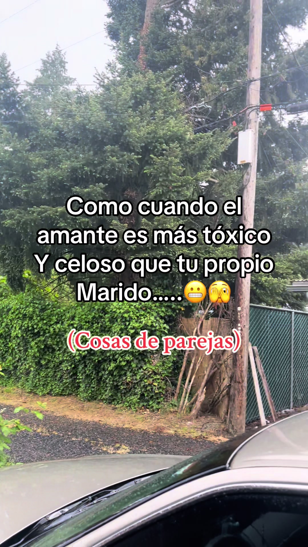 @lolischula