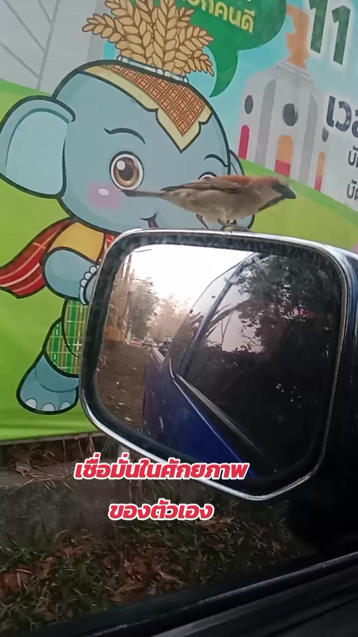 @ตาอ้วนขายดี