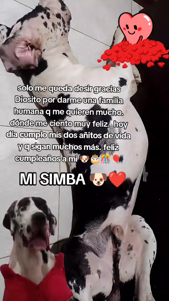 @roussquispe_oficial