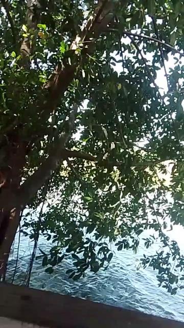 @Lintang Chandra