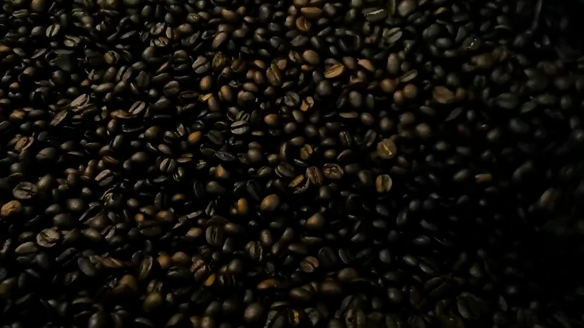 @Gold Coast Roasters Gh