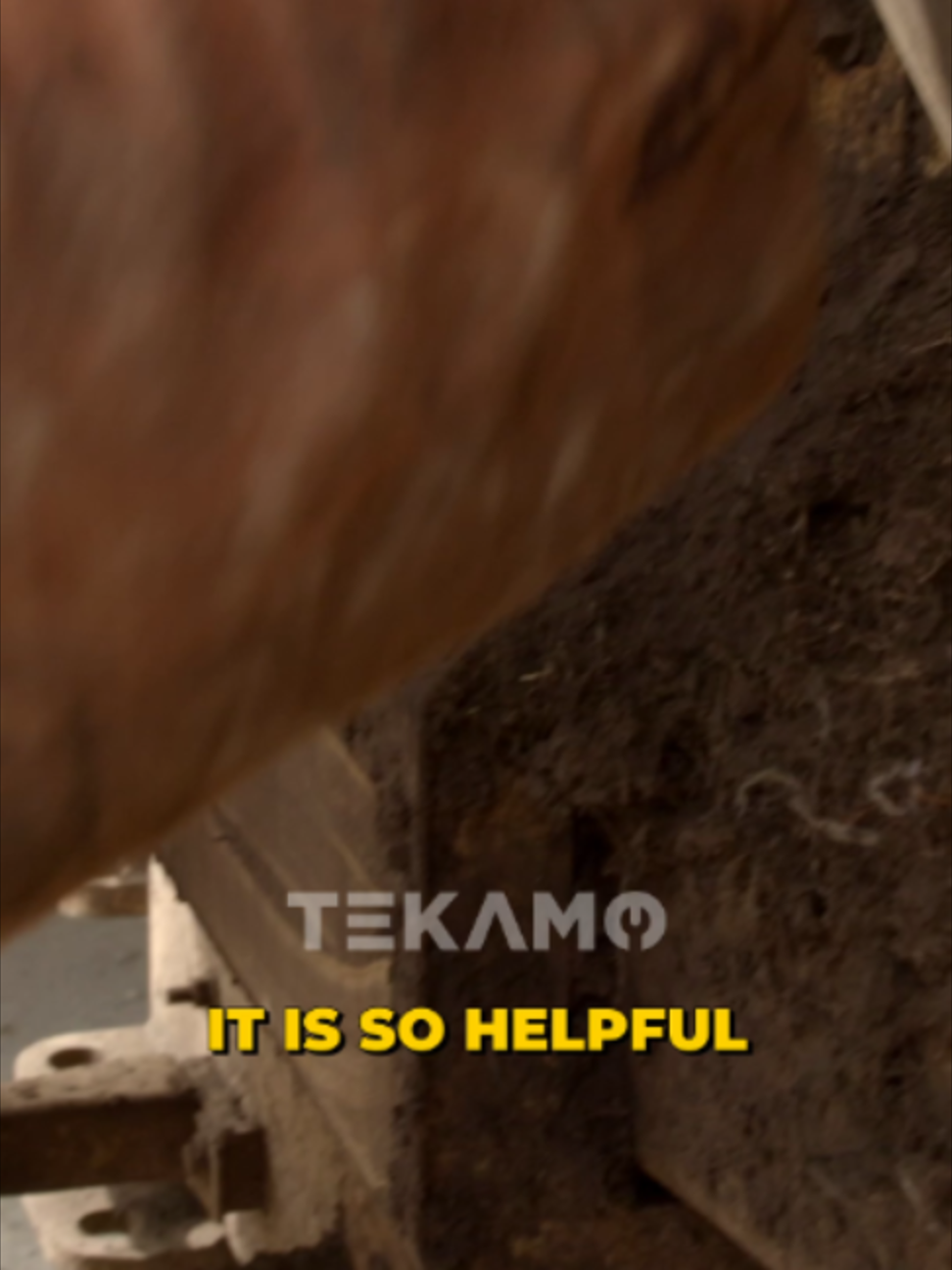 @tekamohd