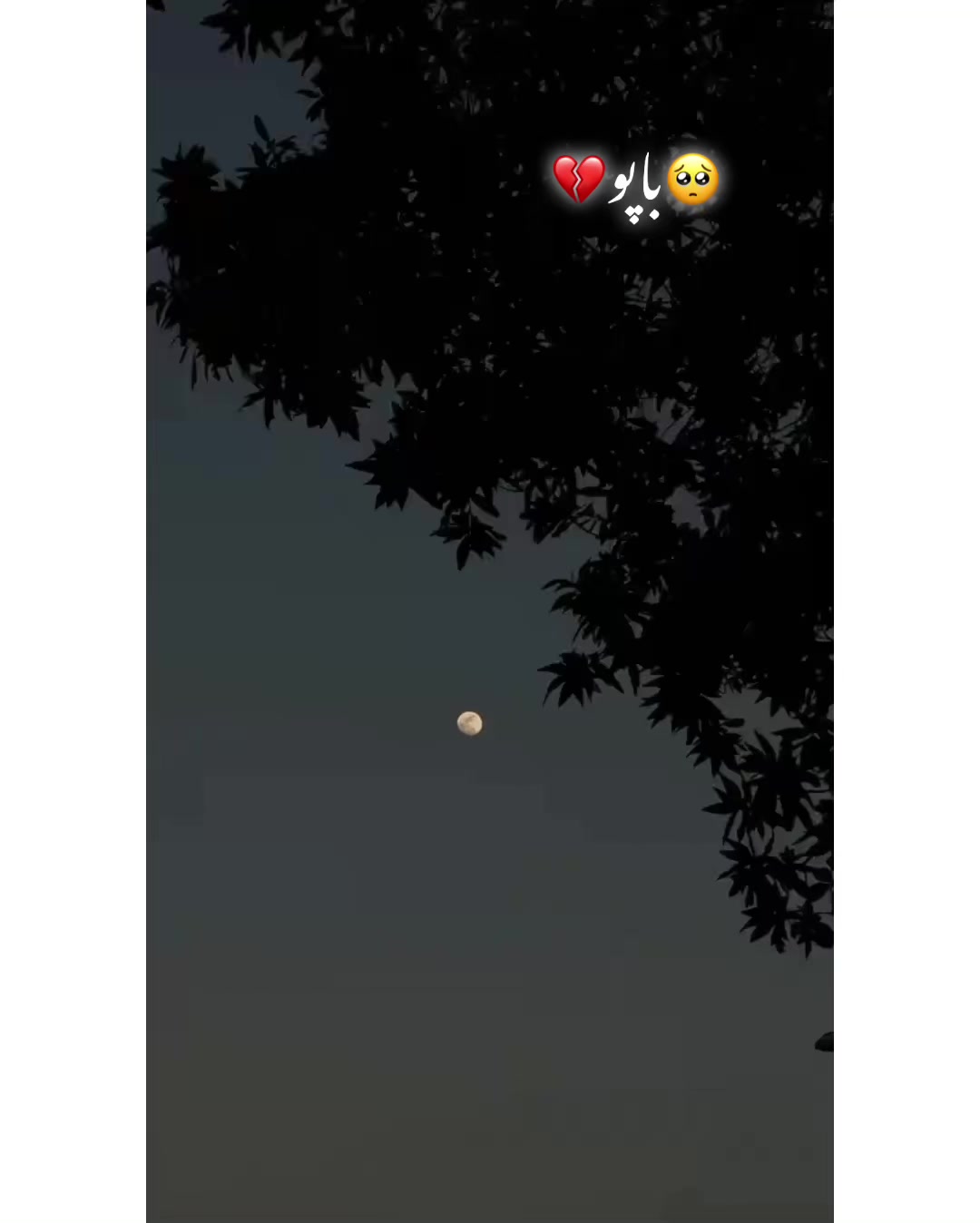 @✨ＫＨＯＫＨＲ❤️&zwj;🩹