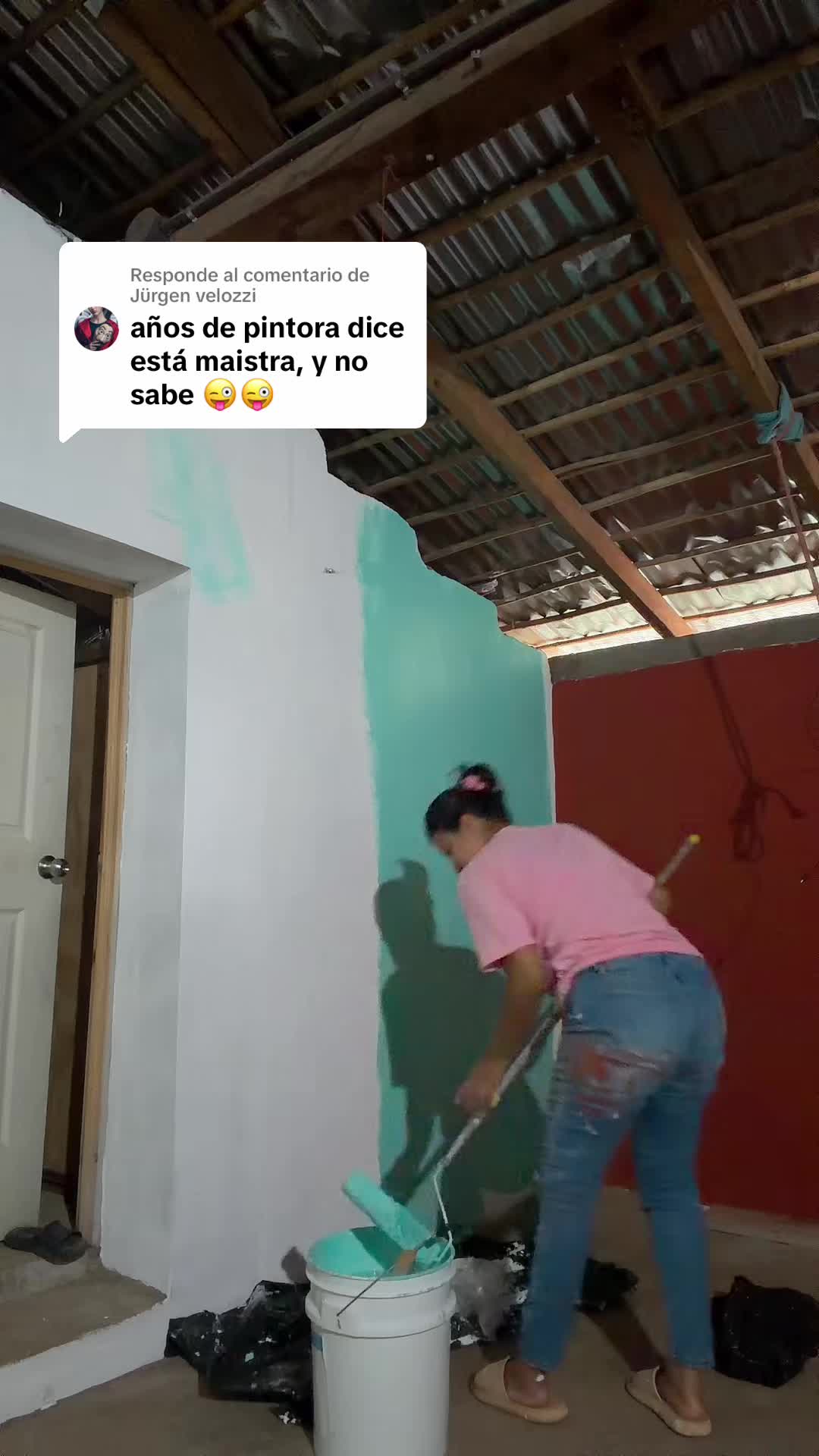 @vanestar69