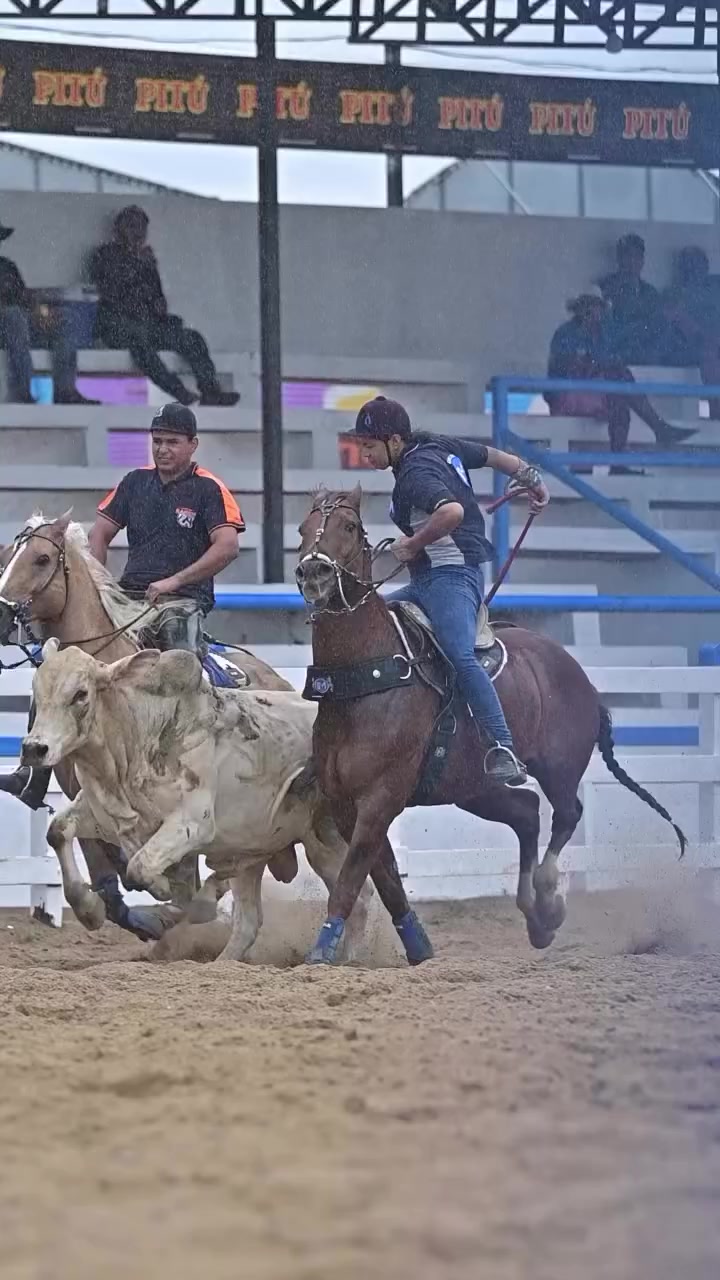 @vaqueiras