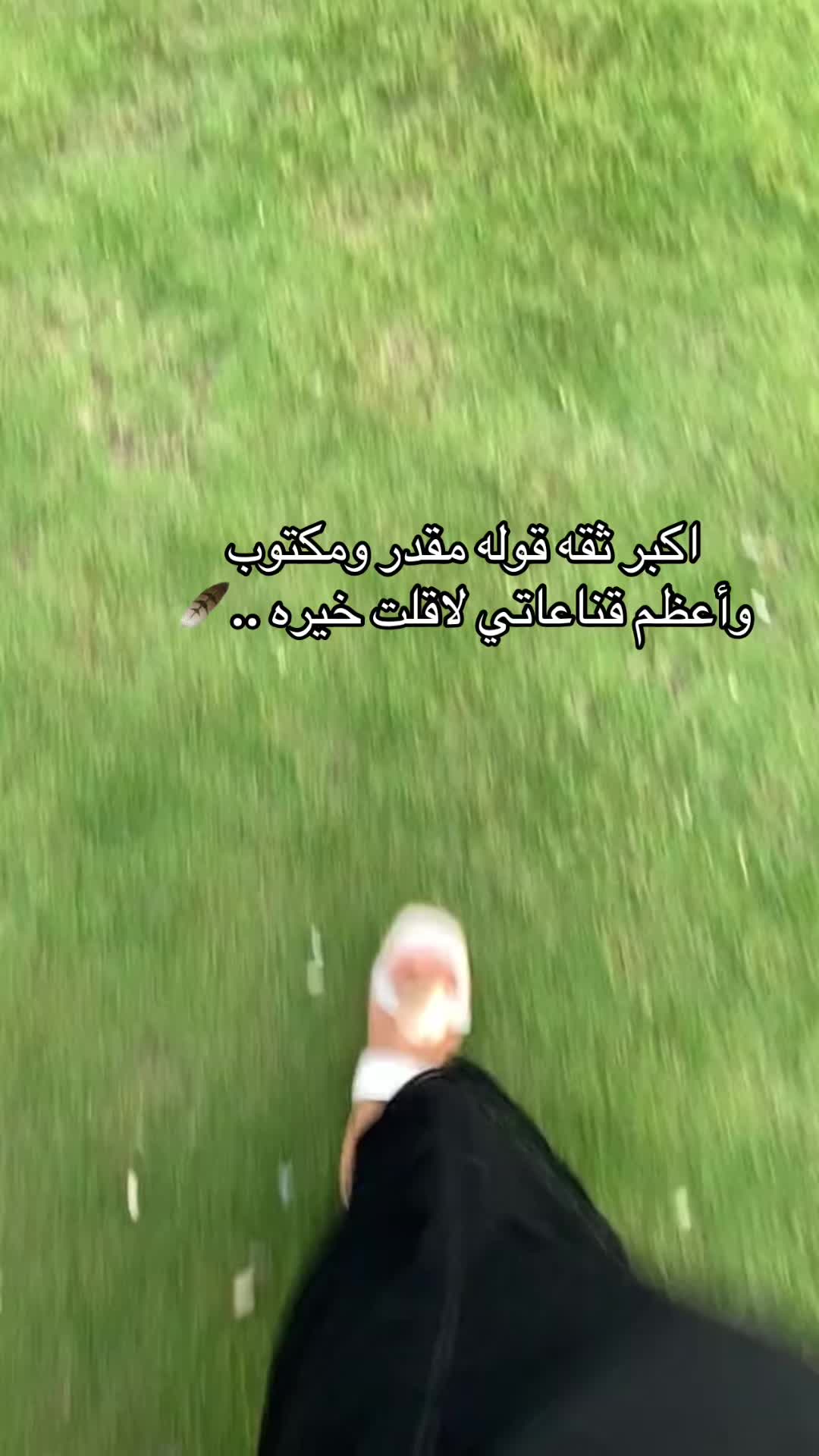 @شوق الشيباني 𓃴♡: